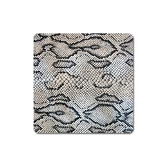 Snake Leather Square Magnet by skindeep