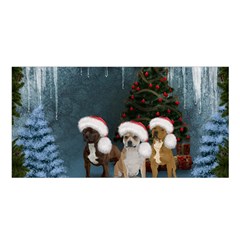 Christmas, Cute Dogs With Christmas Hat Satin Shawl