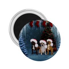 Christmas, Cute Dogs With Christmas Hat 2.25  Magnets