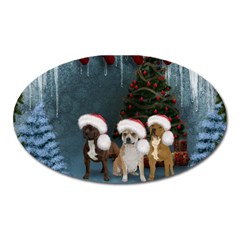 Christmas, Cute Dogs With Christmas Hat Oval Magnet