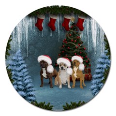 Christmas, Cute Dogs With Christmas Hat Magnet 5  (round) by FantasyWorld7