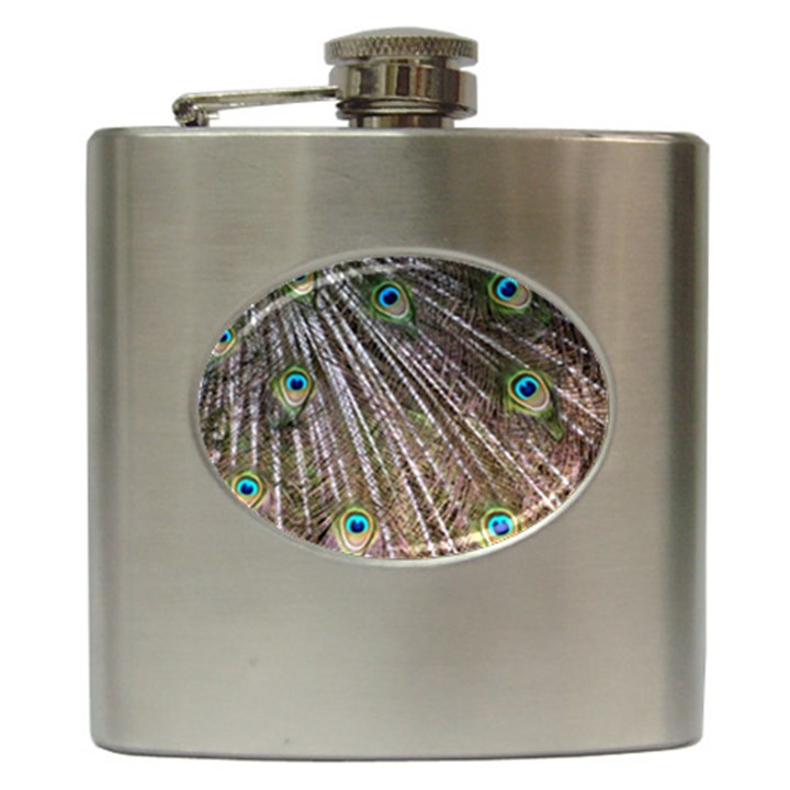 Peacock Feathers Pattern Colorful Hip Flask (6 oz)