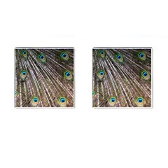 Peacock Feathers Pattern Colorful Cufflinks (square) by Vaneshart