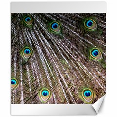 Peacock Feathers Pattern Colorful Canvas 8  X 10  by Vaneshart