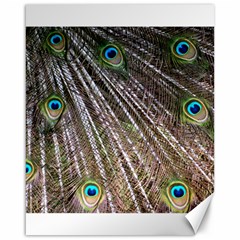 Peacock Feathers Pattern Colorful Canvas 16  X 20  by Vaneshart