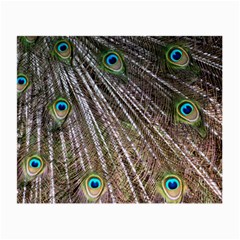 Peacock Feathers Pattern Colorful Small Glasses Cloth (2 Sides) by Vaneshart