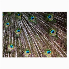 Peacock Feathers Pattern Colorful Large Glasses Cloth (2 Sides) by Vaneshart