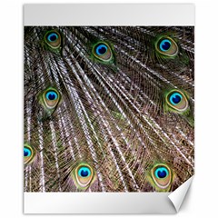 Peacock Feathers Pattern Colorful Canvas 11  X 14  by Vaneshart