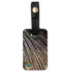 Peacock Feathers Pattern Colorful Luggage Tag (one Side) by Vaneshart