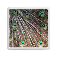 Peacock Feathers Pattern Colorful Memory Card Reader (square) by Vaneshart