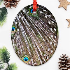 Peacock Feathers Pattern Colorful Oval Filigree Ornament (two Sides) by Vaneshart