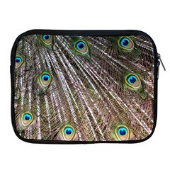 Peacock Feathers Pattern Colorful Apple Ipad 2/3/4 Zipper Cases by Vaneshart