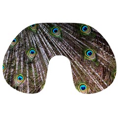 Peacock Feathers Pattern Colorful Travel Neck Pillow by Vaneshart