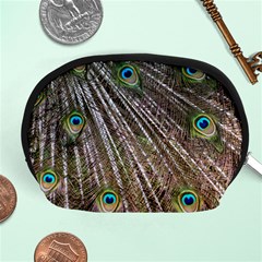 Peacock Feathers Pattern Colorful Accessory Pouch (medium) by Vaneshart