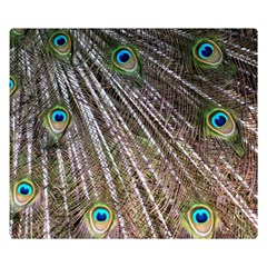 Peacock Feathers Pattern Colorful Double Sided Flano Blanket (small)  by Vaneshart