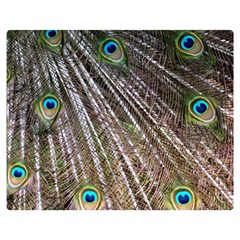 Peacock Feathers Pattern Colorful Double Sided Flano Blanket (medium)  by Vaneshart