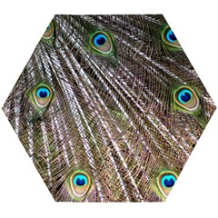 Peacock Feathers Pattern Colorful Wooden Puzzle Hexagon