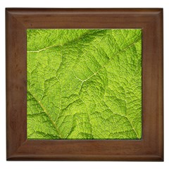 Structure Nature Texture Pattern Framed Tile by Vaneshart