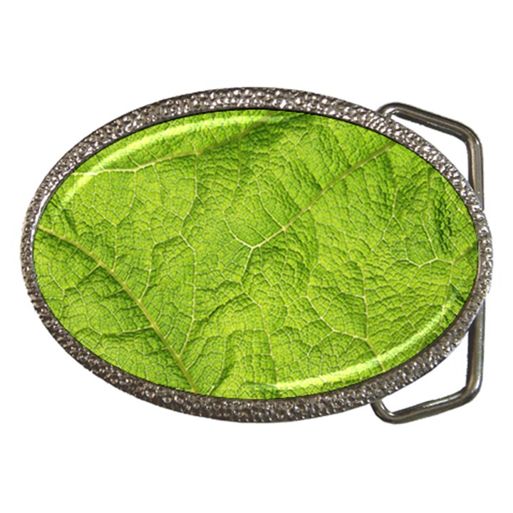 Structure Nature Texture Pattern Belt Buckles