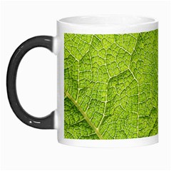 Structure Nature Texture Pattern Morph Mugs by Vaneshart