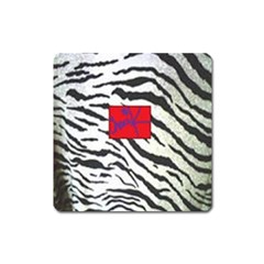 Striped By Traci K Square Magnet by tracikcollection