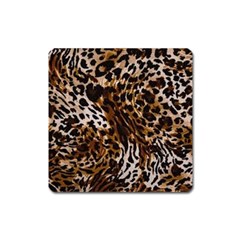 Cheetah By Traci K Square Magnet by tracikcollection