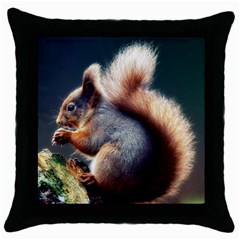 Squirrel Throw Pillow Case (black) by trulycreative