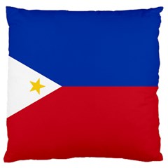 Philippines Flag Filipino Flag Large Flano Cushion Case (two Sides) by FlagGallery