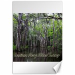 Louisiana Honey Island Swamp Scene Canvas 12  x 18  (Unframed) 11.88 x17.36  Canvas - 1