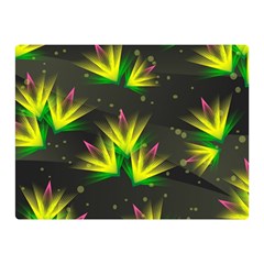 Floral Abstract Lines Double Sided Flano Blanket (mini) 