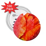 Tulip watercolor Red and black stripes 2.25  Buttons (100 pack)  Front