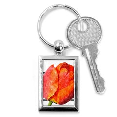 Tulip Watercolor Red And Black Stripes Key Chain (rectangle) by picsaspassion