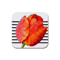 Tulip Watercolor Red And Black Stripes Rubber Square Coaster (4 Pack)  by picsaspassion