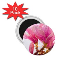 Magnolia Roze aquarel watercolor 1.75  Magnets (10 pack) 