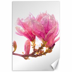 Magnolia Roze aquarel watercolor Canvas 12  x 18 