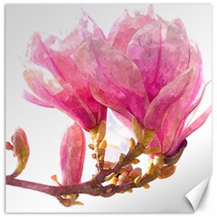 Magnolia Roze aquarel watercolor Canvas 16  x 16 