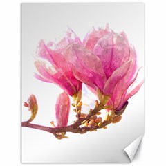 Magnolia Roze aquarel watercolor Canvas 18  x 24 