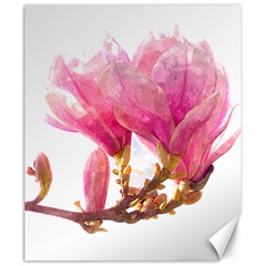 Magnolia Roze aquarel watercolor Canvas 20  x 24 