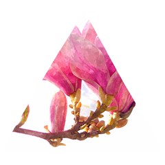 Magnolia Roze Aquarel Watercolor Wooden Puzzle Triangle by picsaspassion