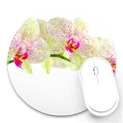 Phalenopsis Orchid White Lilac Watercolor Aquarel Round Mousepads by picsaspassion