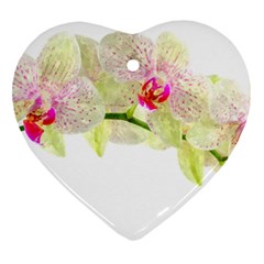 Phalenopsis Orchid White Lilac Watercolor Aquarel Ornament (heart) by picsaspassion