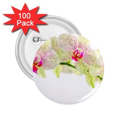 Phalenopsis Orchid White Lilac Watercolor Aquarel 2 25  Buttons (100 Pack)  by picsaspassion