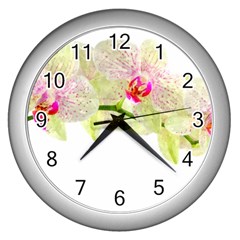 Phalenopsis Orchid White Lilac Watercolor Aquarel Wall Clock (silver) by picsaspassion