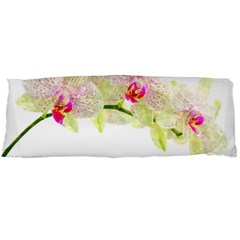 Phalenopsis Orchid White Lilac Watercolor Aquarel Body Pillow Case (dakimakura) by picsaspassion