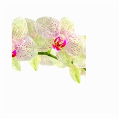 Phalenopsis Orchid White Lilac Watercolor Aquarel Small Garden Flag (two Sides) by picsaspassion