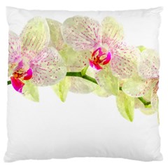 Phalenopsis Orchid White Lilac Watercolor Aquarel Large Cushion Case (one Side) by picsaspassion