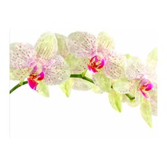 Phalenopsis Orchid White Lilac Watercolor Aquarel Double Sided Flano Blanket (mini)  by picsaspassion