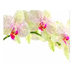 Phalenopsis Orchid White Lilac Watercolor Aquarel Double Sided Flano Blanket (large)  by picsaspassion