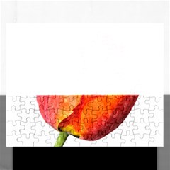 Spring Tulip Red Watercolor Aquarel Rectangular Jigsaw Puzzl by picsaspassion