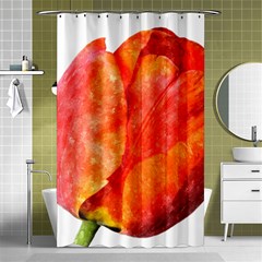 Spring Tulip Red Watercolor Aquarel Shower Curtain 48  X 72  (small)  by picsaspassion